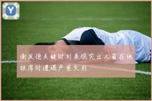谢泼德关键时刻表现突出火箭在他缺席时遭遇严重失利